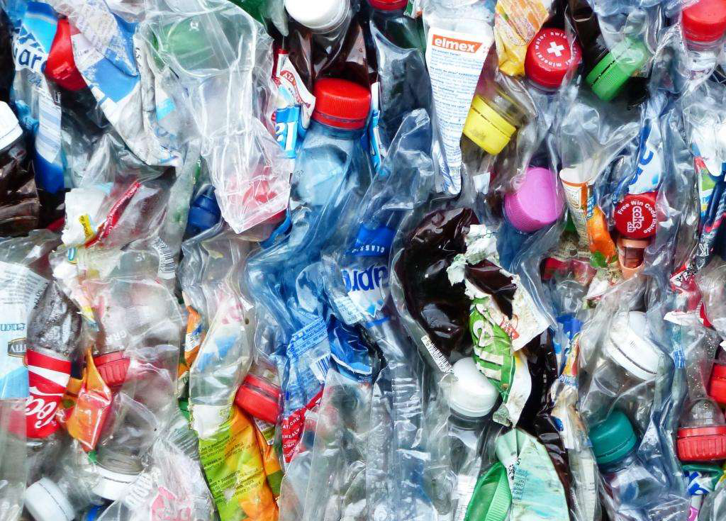 中国团队变塑料瓶为动物生长促进剂 回收1吨能赚350美元